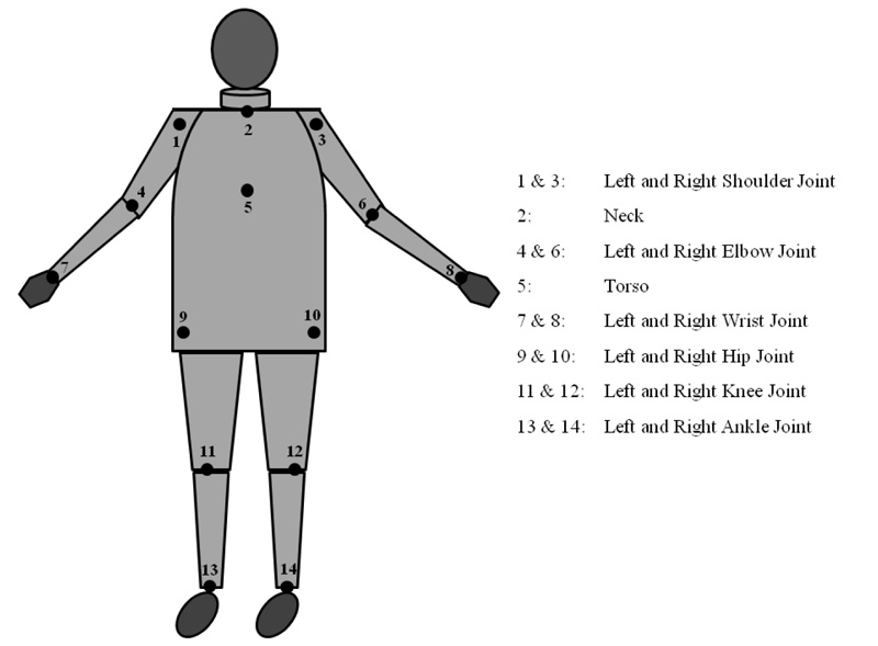 Biomechanics of Pitching: Pushing Limits on the Shoulder and Elbow