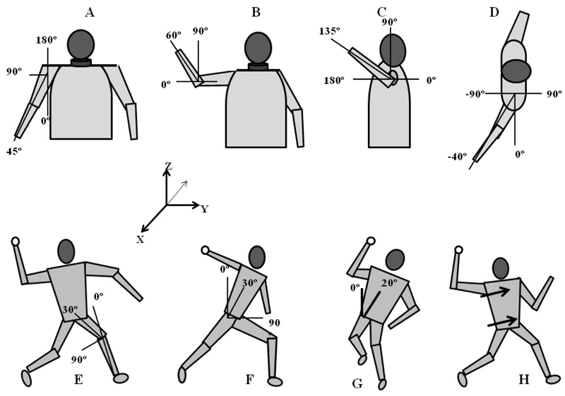 Biomechanics of Pitching: Pushing Limits on the Shoulder and Elbow